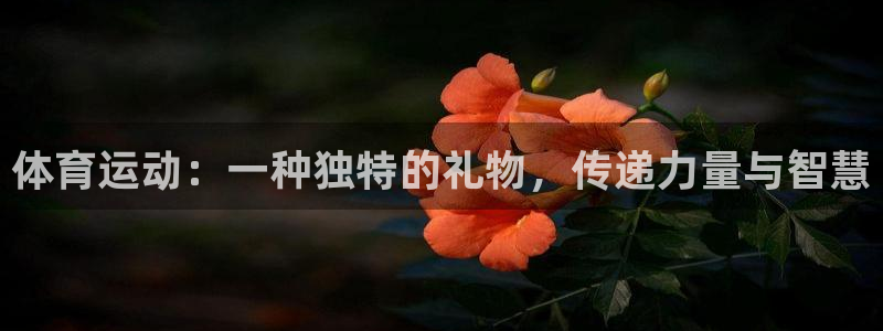 意昂5注册：体育运动：一种独特的礼物，传递力量与智慧