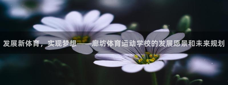 意昂3登录：发展新体育，实现梦想——廊坊体育运动学校的发展愿景和未来规划