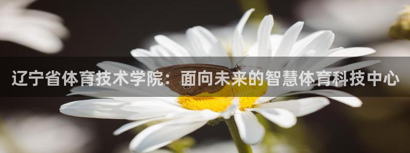 意昂3体育凯捷登陆：辽宁省体育技术学院：面向未来的智慧体育科技中心