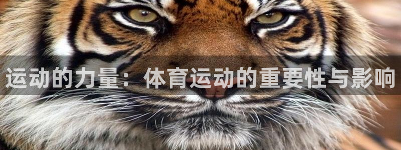 意昂3体育官网：运动的力量：体育运动的重要性与影响