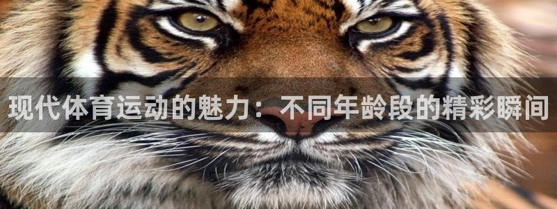 佛山市南海意昂机电仪器有限公司：现代体育运动的魅力：不同年龄段的精彩瞬间