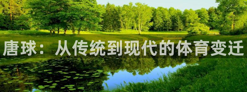 意昂平台：唐球：从传统到现代的体育变迁