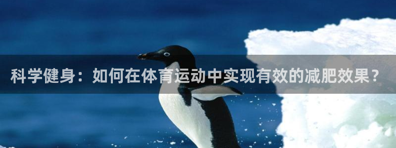 意昂3体育和杏耀是哪个公司的：科学健身：如何在体育运动中实现有效的减肥效果？