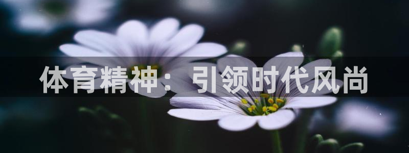 意昂33平台注册：体育精神：引领时代风尚