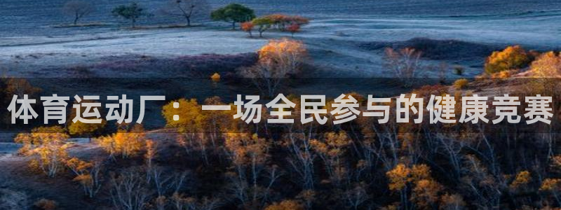 意昂3凯捷开号链接：体育运动厂：一场全民参与的健康竞赛