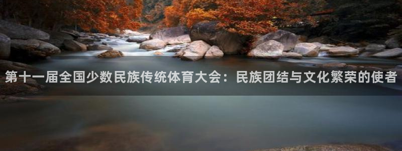 意昂新能源汽车科技有限公司：第十一届全国少数民族传统体育大会：民族团结与文化繁荣