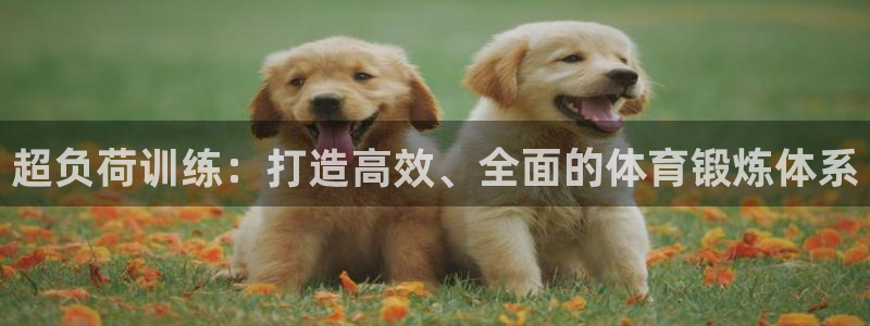意昂新能源汽车科技有限公司：超负荷训练：打造高效、全面的体育锻炼体系