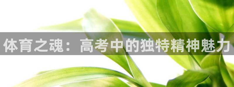 意昂包怎么样：体育之魂：高考中的独特精神魅力