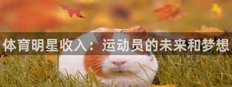 意昂平台主管：体育明星收入：运动员的未来和梦想