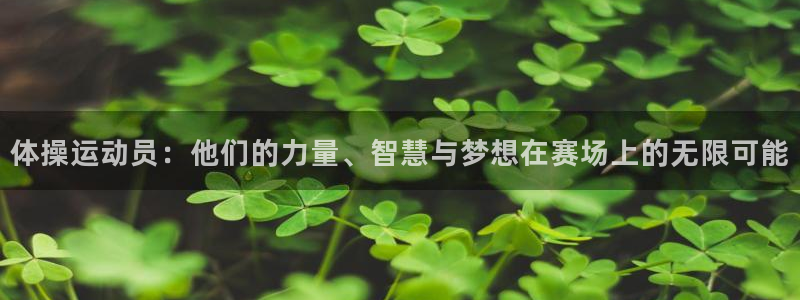 意昂32体育：体操运动员：他们的力量、智慧与梦想在赛场上的无限可能