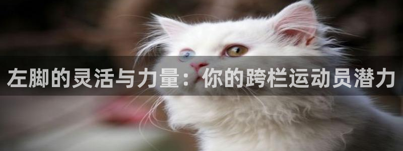 意昂3：左脚的灵活与力量：你的跨栏运动员潜力