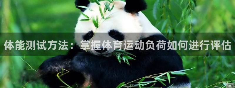 意昂3平台总代理：体能测试方法：掌握体育运动负荷如何进行评估