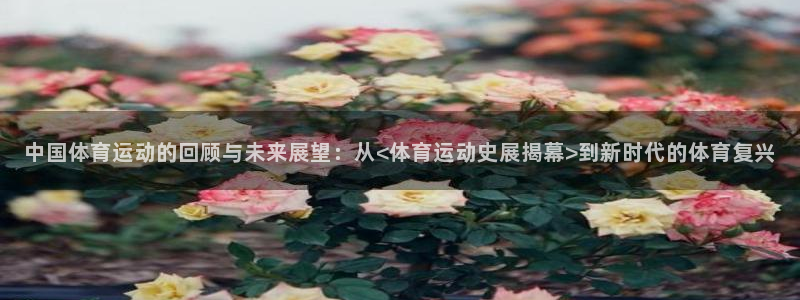 意昂3体育2官网入口：中国体育运动的回顾与未来展望：从<体育运动史展揭幕>到新时