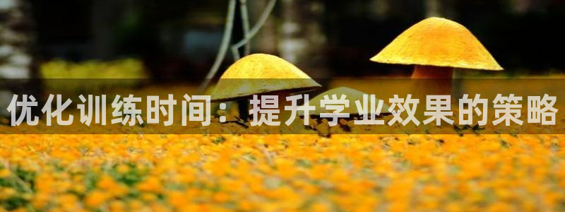 意昂3体育eon：优化训练时间：提升学业效果的策略