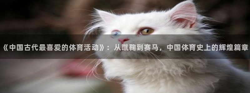 意昂3体育和杏耀是哪个公司的：《中国古代最喜爱的体育活动》：从蹴鞠到赛马，中国体