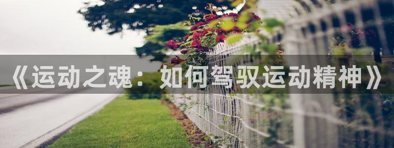 意昂33登陆：《运动之魂：如何驾驭运动精神》