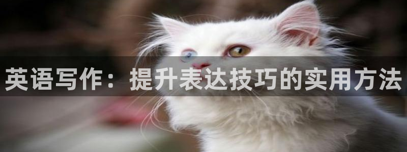 意昂33代理：英语写作：提升表达技巧的实用方法