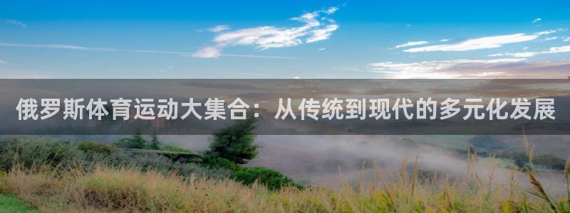 意昂32代理注册：俄罗斯体育运动大集合：从传统到现代的多元化发展